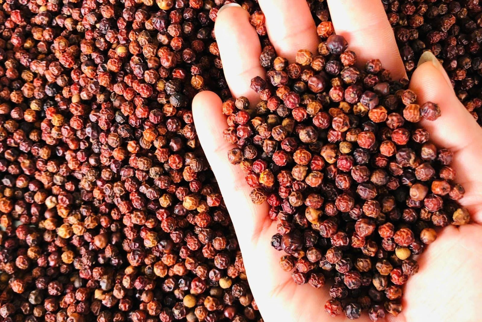 Bản tin nông sản hôm nay (27-10): Giá hồ tiêu ổn định